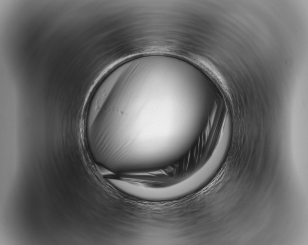 X0000095931340200802081209