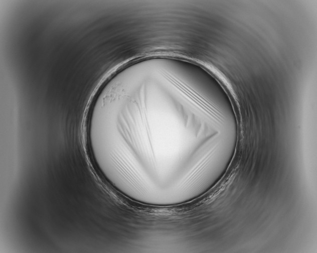 X0000095931341200802081209
