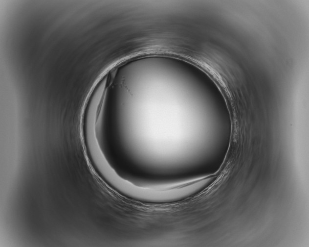 X0000095931342200802081209