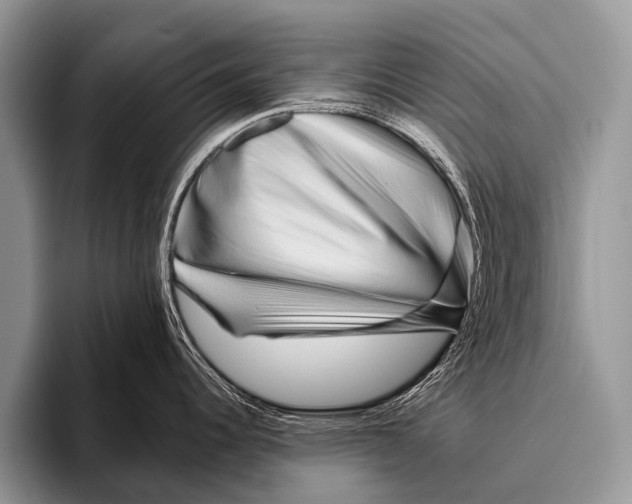 X0000095931344200802081209