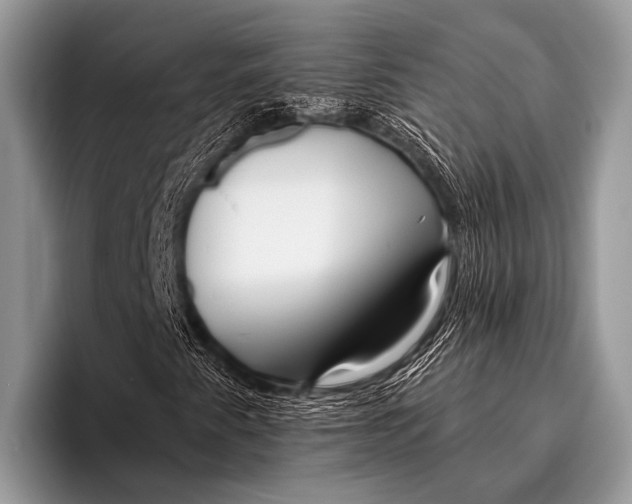 X0000095931345200802081208