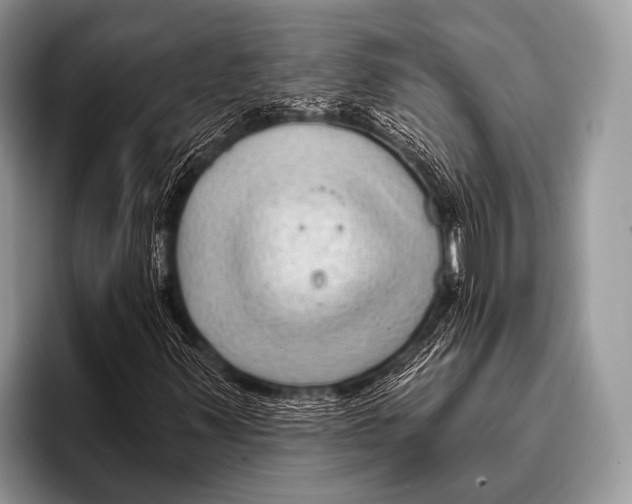 X0000095931347200802081208