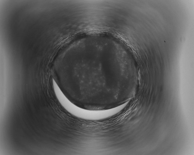 X0000095931348200802081208