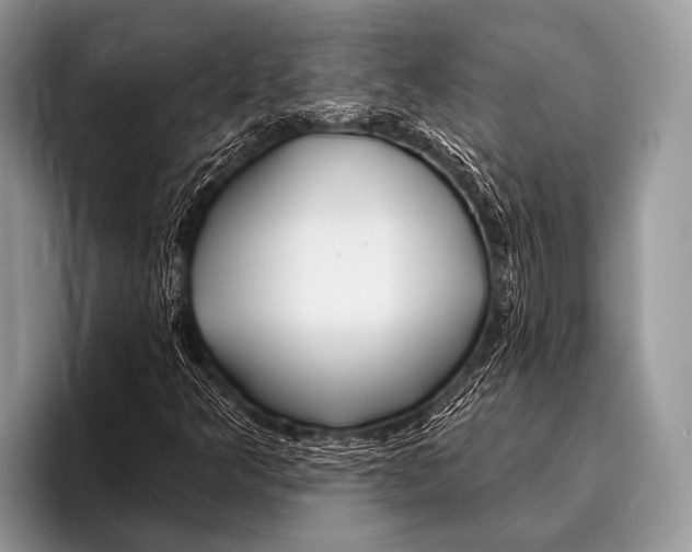 X0000095931349200802081208