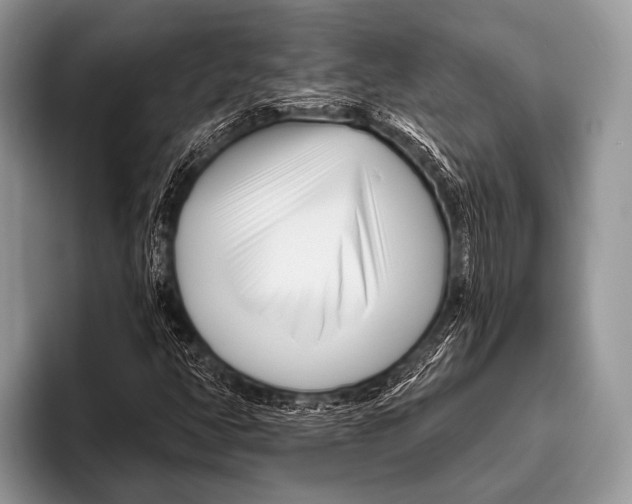 X0000095931350200802081208