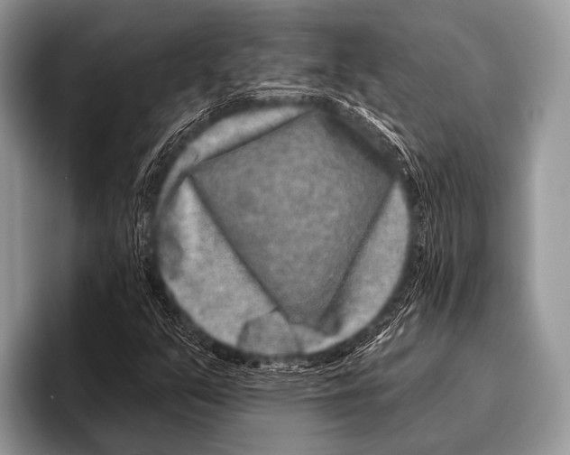 X0000095931351200802081208