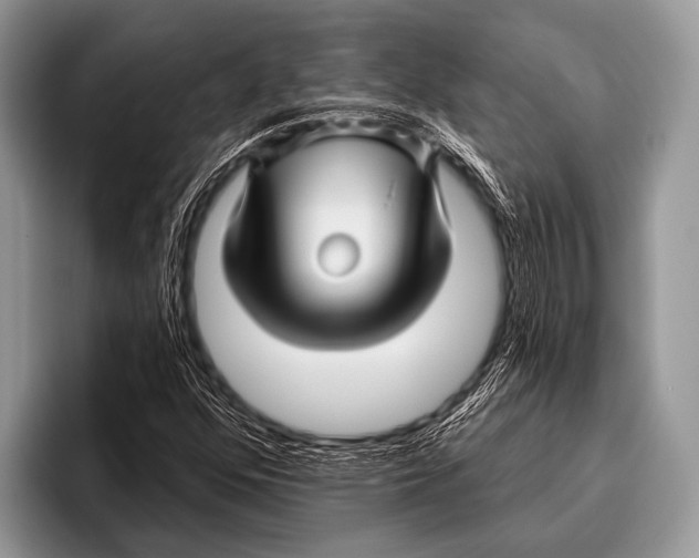 X0000095931352200802081208