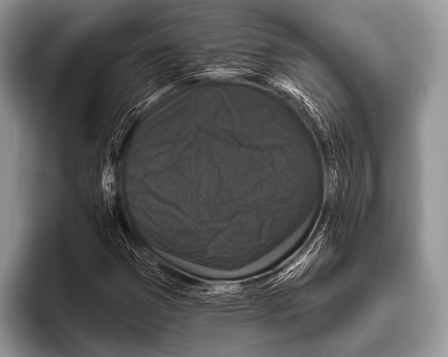 X0000095931353200802081208
