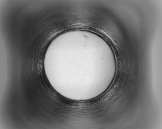 X0000095931355200802081208