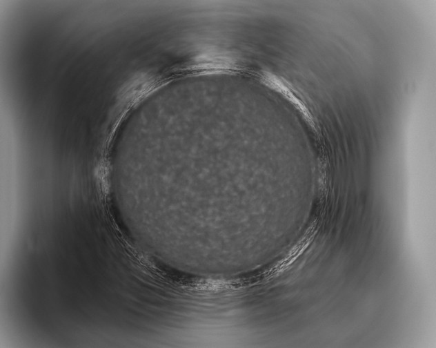 X0000095931357200802081208