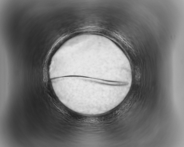 X0000095931358200802081208