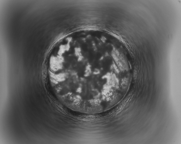 X0000095931359200802081208
