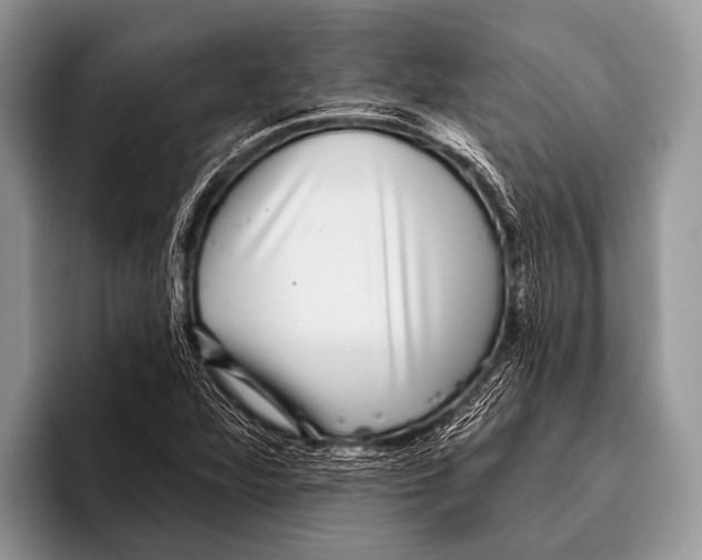 X0000095931360200802081208