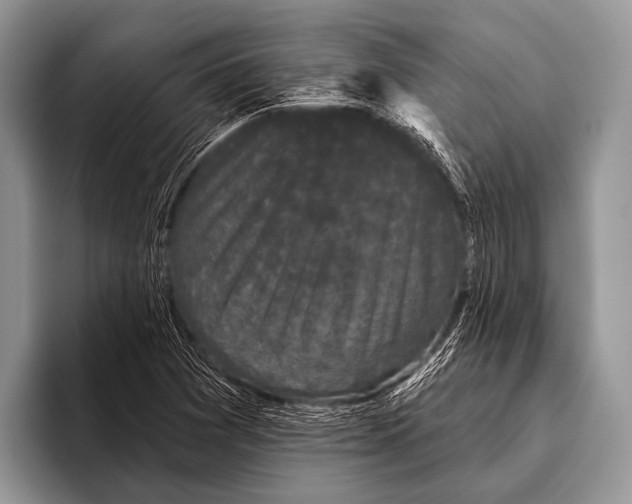 X0000095931361200802081208