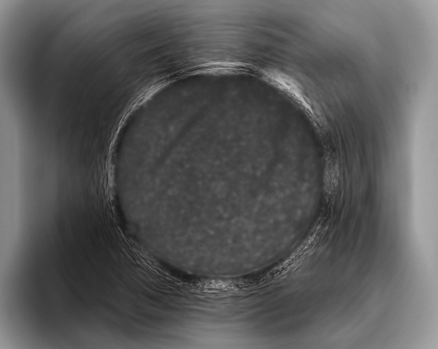 X0000095931362200802081208