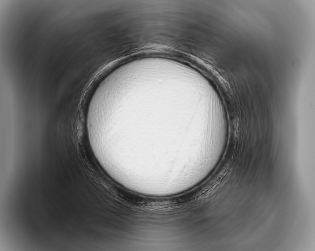 X0000095931363200802081208