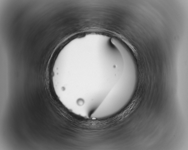 X0000095931364200802081208