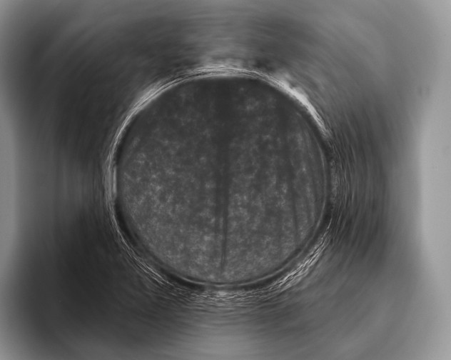 X0000095931365200802081208