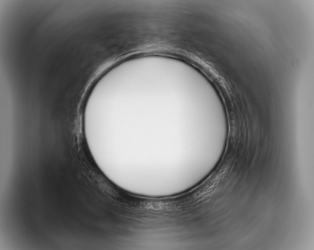 X0000095931366200802081208