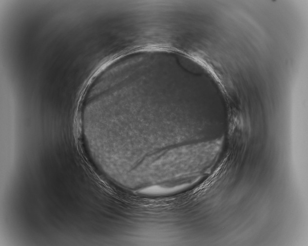 X0000095931367200802081208