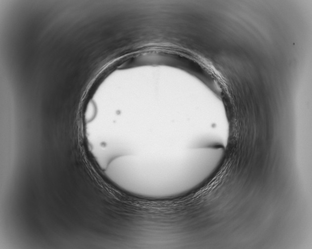 X0000095931368200802081208