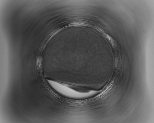 X0000095931369200802081208