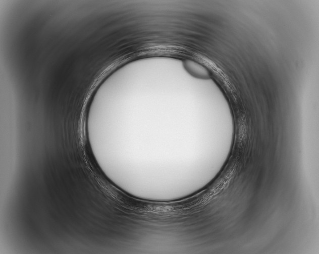 X0000095931370200802081208