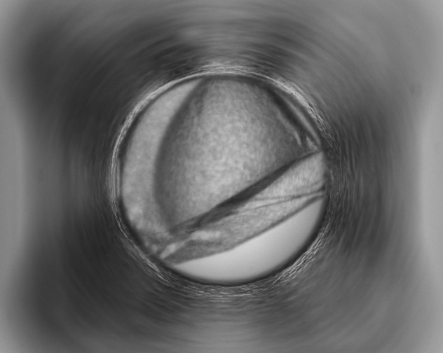 X0000095931371200802081208