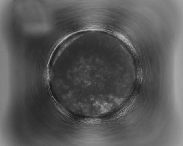 X0000095931372200802081208