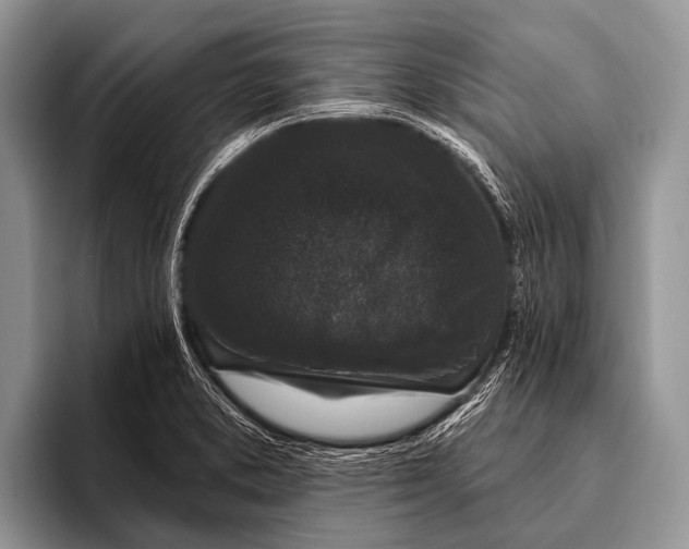 X0000095931373200802081208
