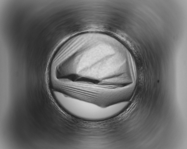X0000095931375200802081208