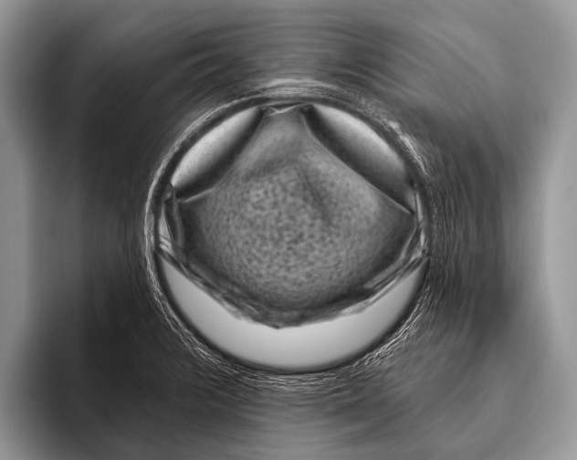 X0000095931376200802081208