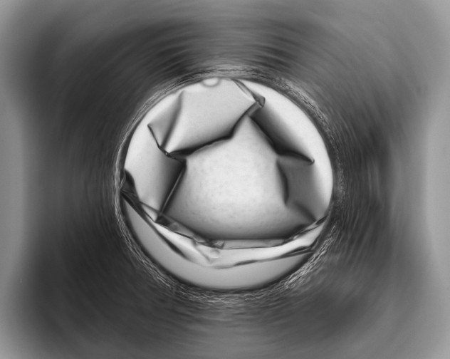 X0000095931378200802081208