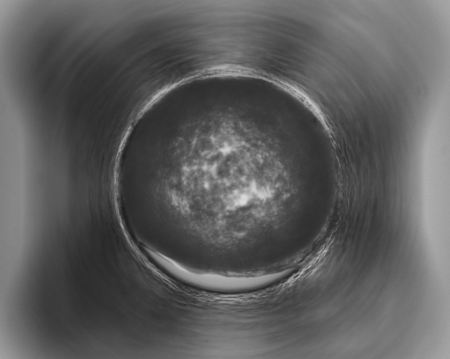 X0000095931381200802081208