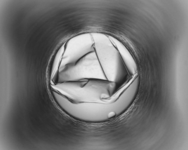 X0000095931382200802081208