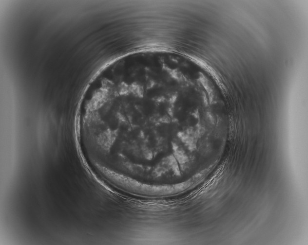 X0000095931383200802081208