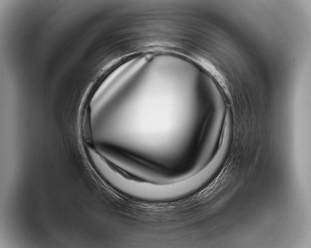 X0000095931384200802081208