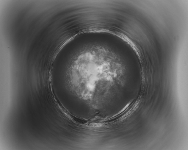 X0000095931385200802081208