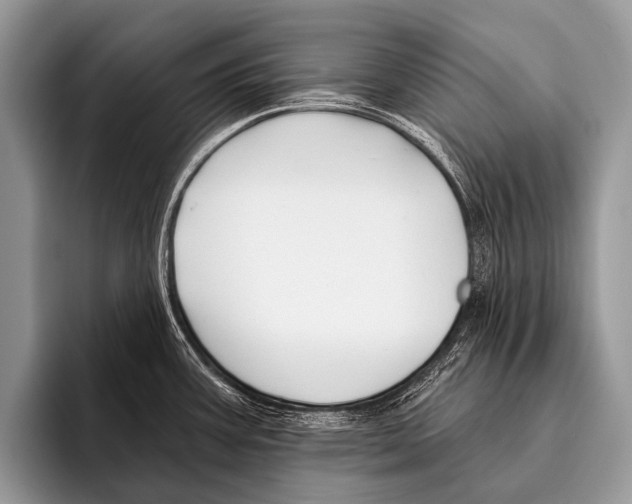 X0000095931387200802081208
