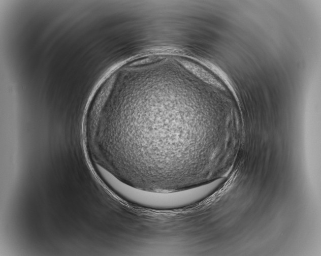 X0000095931389200802081208