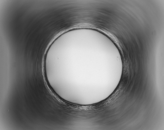 X0000095931390200802081208