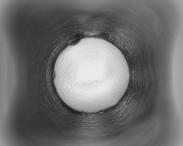 X0000095931393200802081207