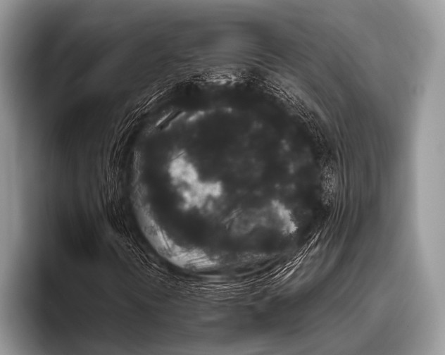 X0000095931394200802081207