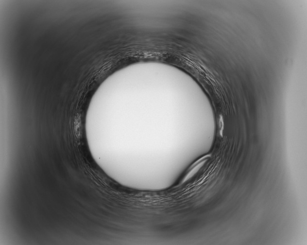X0000095931395200802081207