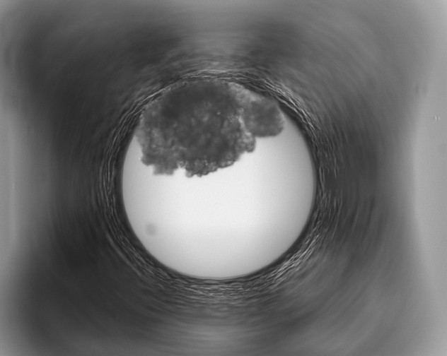 X0000095931396200802081207