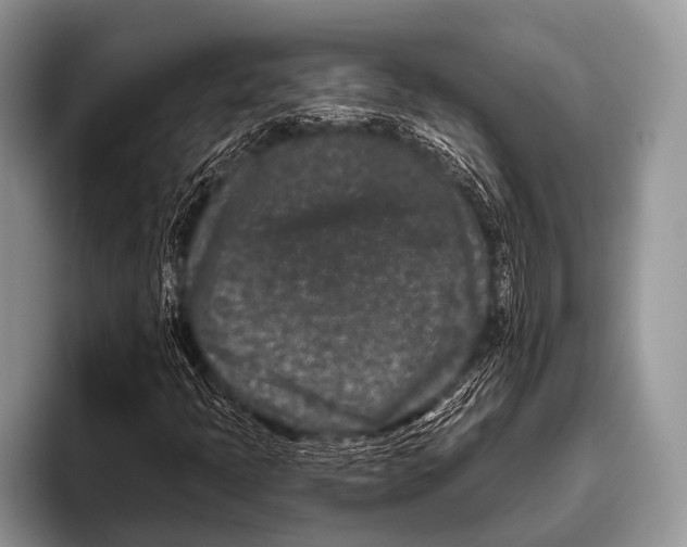 X0000095931397200802081207