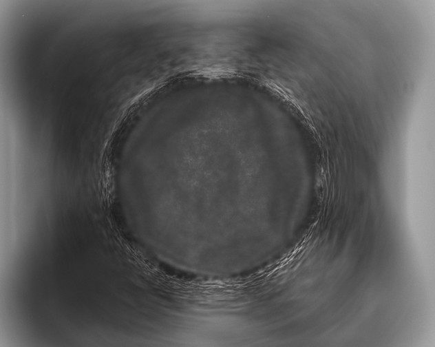 X0000095931398200802081207