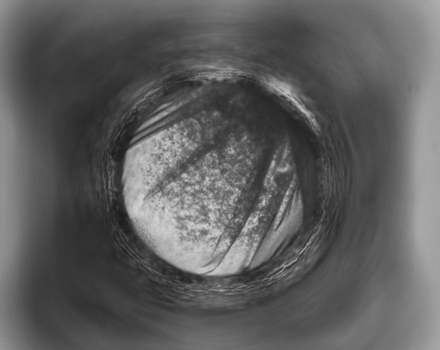 X0000095931399200802081207