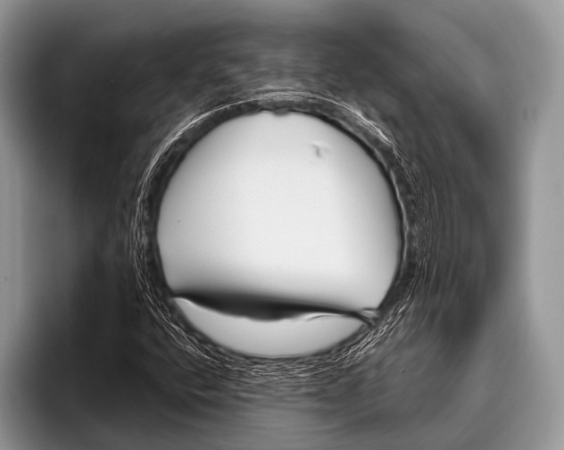 X0000095931400200802081207