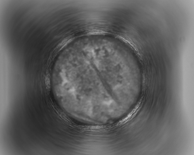 X0000095931401200802081207